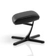 Footrest 2 - Black image number null
